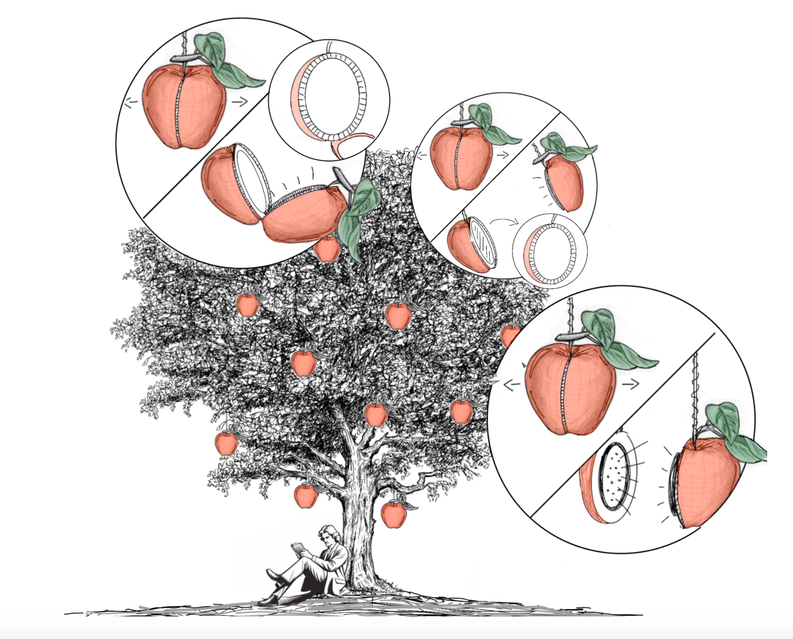 Appeltje PFI als projectvisual